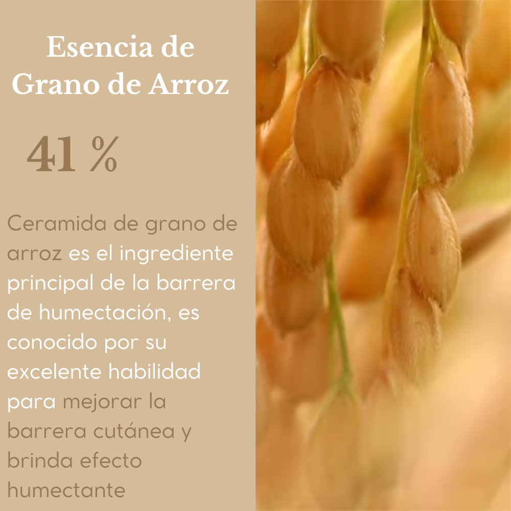 Rice Cream 50g
