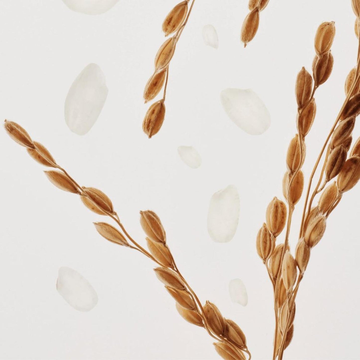 jpg_1500x1500_67585861