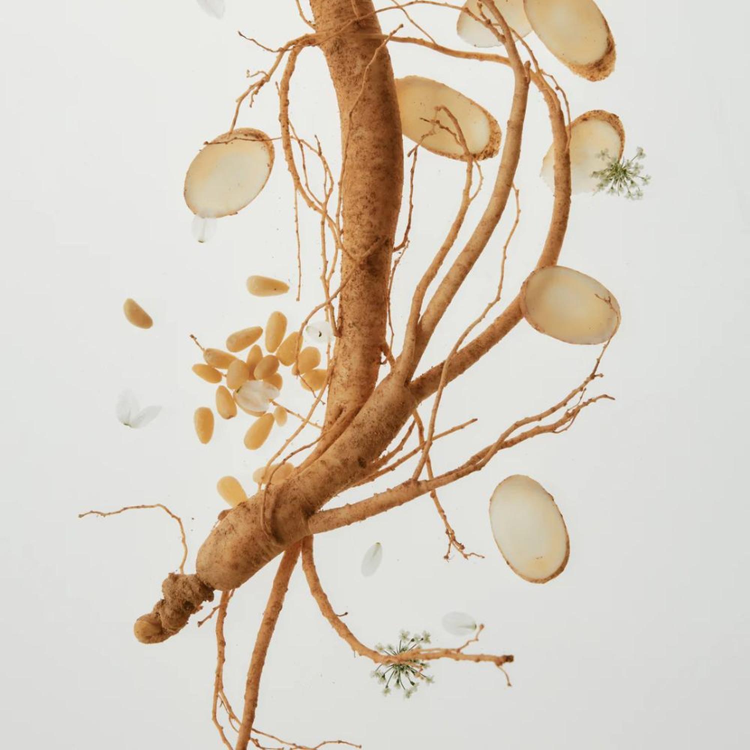 Revive Serum : Ginseng + Snail Mucin 30ml - Beauty of Joseon - NADAUN - 8809738316139