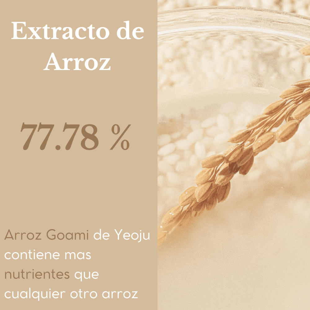 Rice Toner Dúo - NADAUN - NADAUN - 