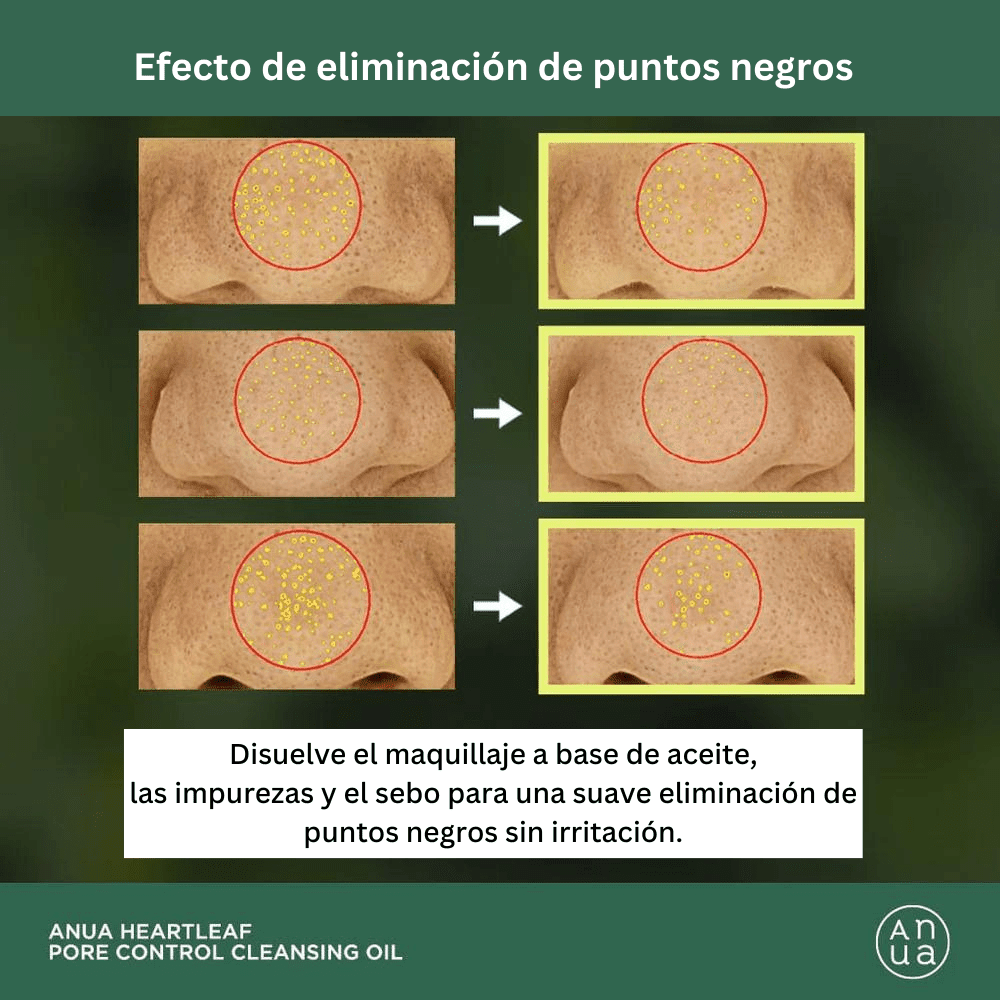 HEARTLEAF PORE CONTROL CLEANSING OIL 200 ml - ANUA - NADAUN - 8809640732829